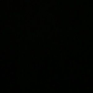 Meet your Posher, Sally